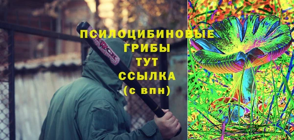 бошки Армянск