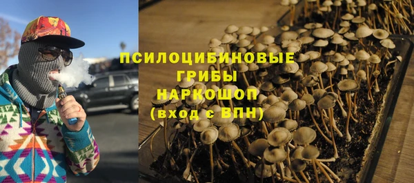 бошки Армянск